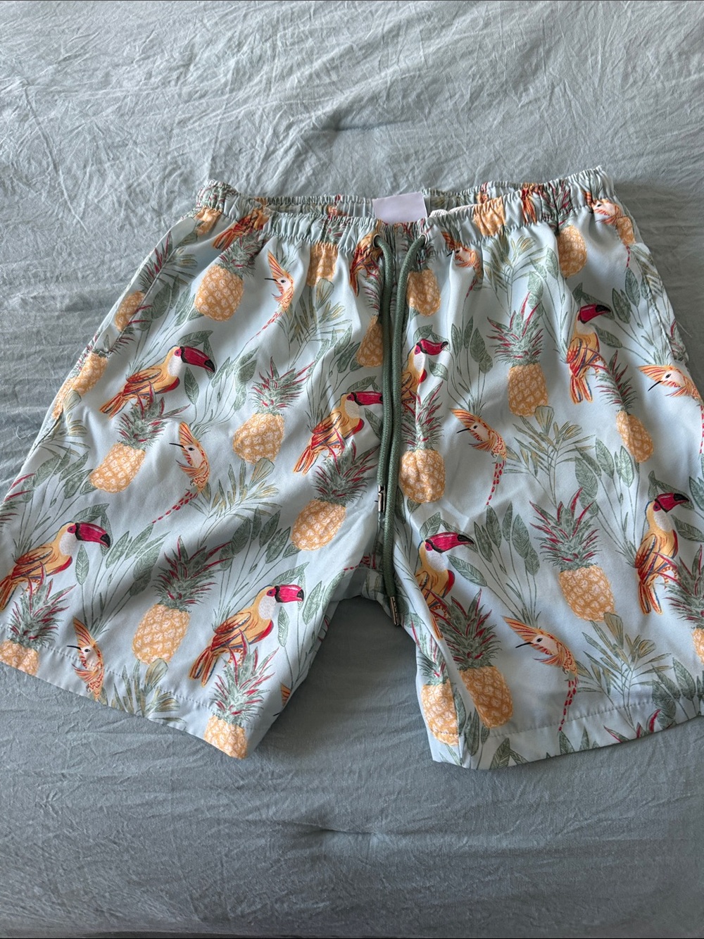 Cove Men’s Light Blue Pineapple & Toucan Swim Shorts